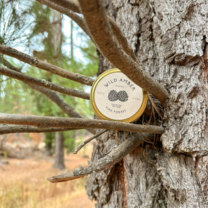 
                  
                    Pine Forest | Tin Candle
                  
                