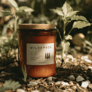 
                  
                    Vintage Chest | Jar Candle
                  
                